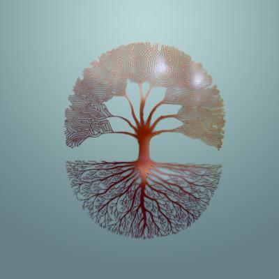 1920 x 1080 HD Wallpapers 1321